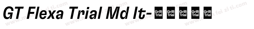 GT Flexa Trial Md It字体转换